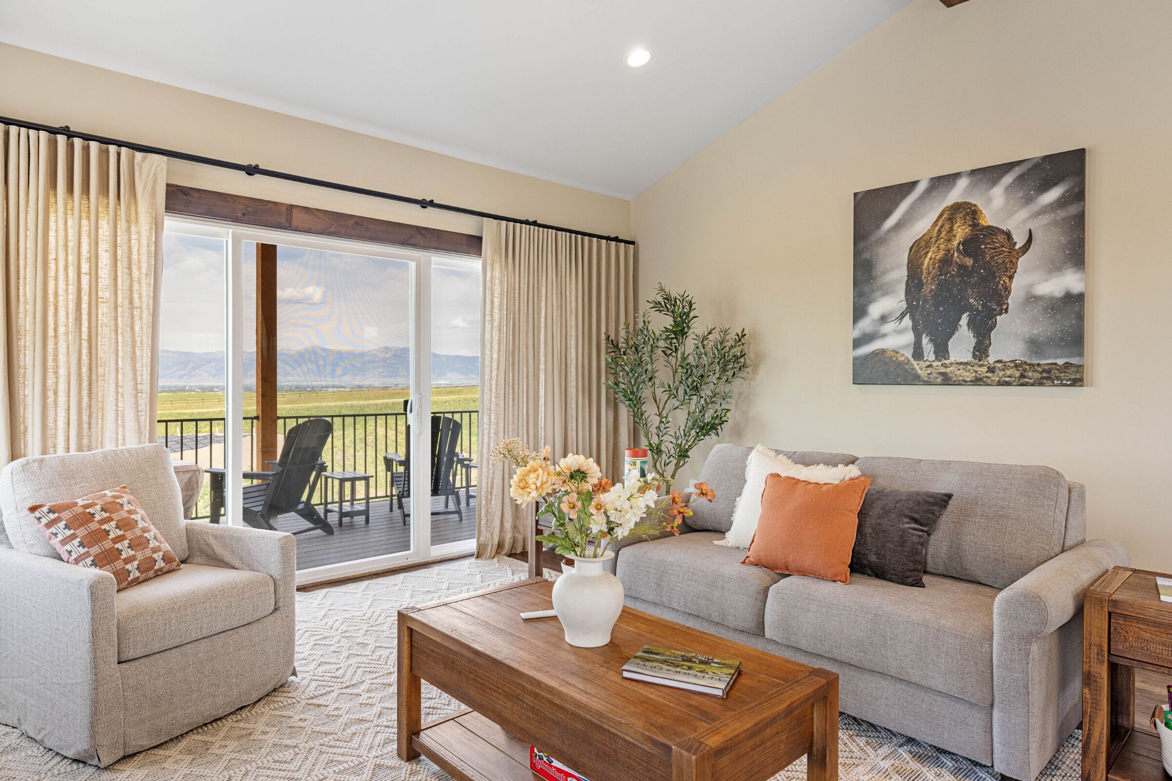 Smart-TV, peis og bøker