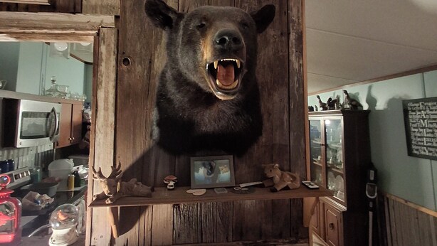 A room with a wooden bear head mounted on a cabinet, a kitchen area with a microwave, and various kitchen items.