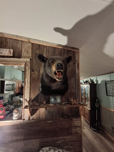 Promise Sanctuary - 47 Private Acres - Trails • Fire Pit • Pet-Friendly