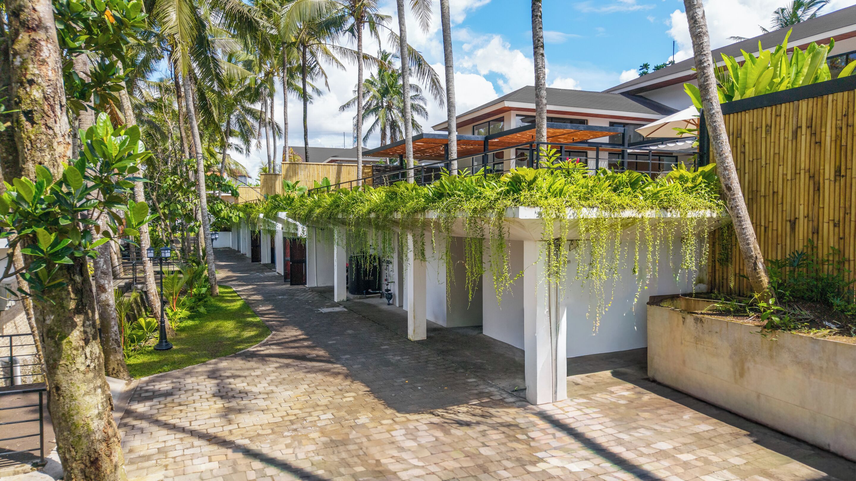 Un camino bordeado de palmeras y plantas colgantes que conduce a un edificio moderno con techo plano y grandes ventanales.