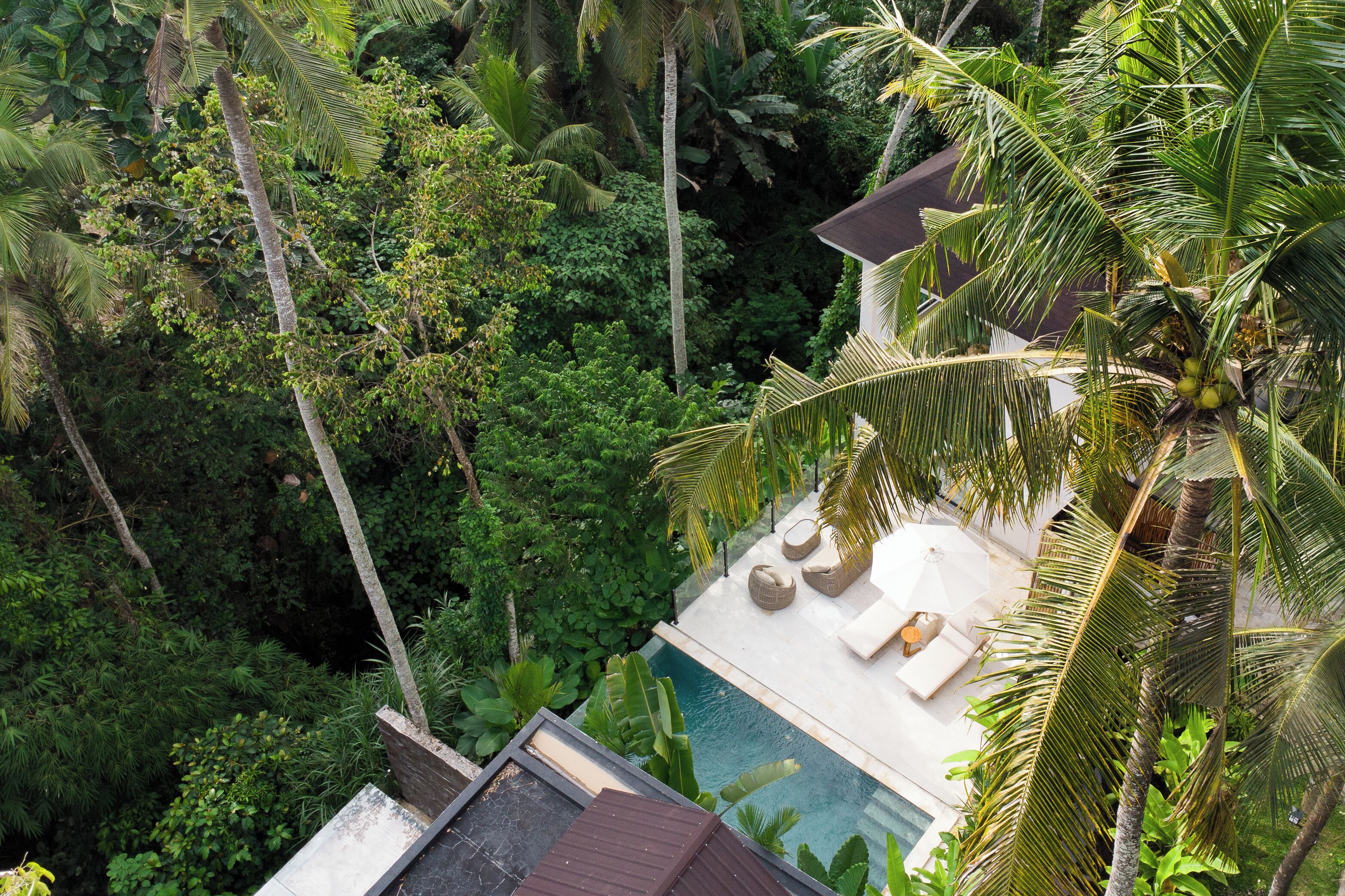 A poolside area with lounge chairs, a small table, and a palm tree.