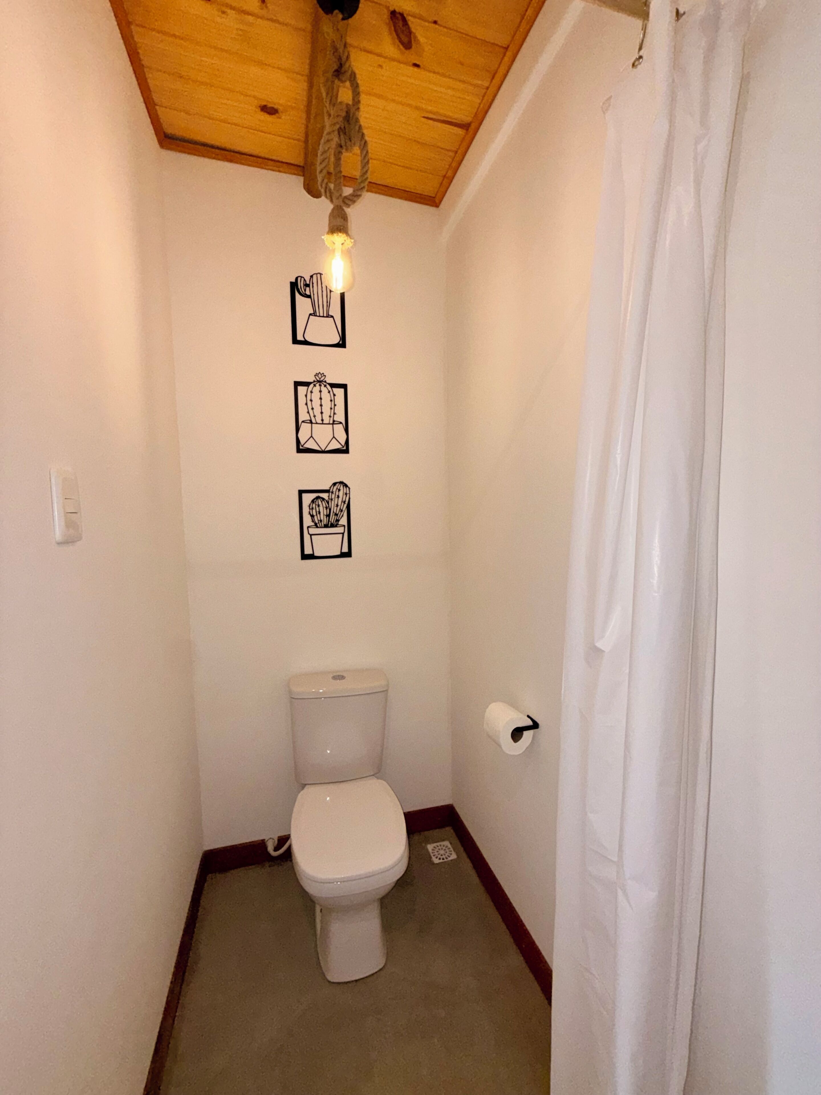 Une petite salle de bain avec des toilettes, un rideau de douche et trois illustrations de cactus encadrées accrochées au mur.