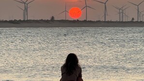 Ein Sonnenuntergang über einem Gewässer, im Hintergrund Windkraftanlagen.