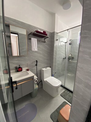 Regadera, secadora de cabello, bidet, toallas 