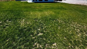 A white building with a flat roof, a large open grassy area in front, and a clear blue sky. - The Lava White House - Sleeps 50+ (Lava Hot Springs)