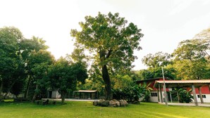 A park with a large tree, a covered pavilion, and a building with a red roof. - Hotel Castillo Blanco (El Zonte)
