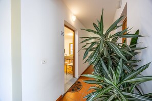 Interior - Palm Tree House by YOUR KEY (Santa Cruz)