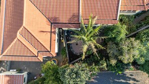 Property grounds - Palm Tree House by YOUR KEY (Santa Cruz)
