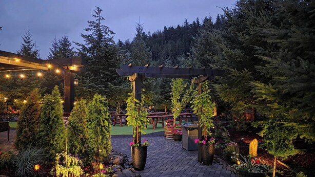 Un espace extérieur aménagé en jardin, avec une pergola, des plantes en pot et des guirlandes lumineuses.