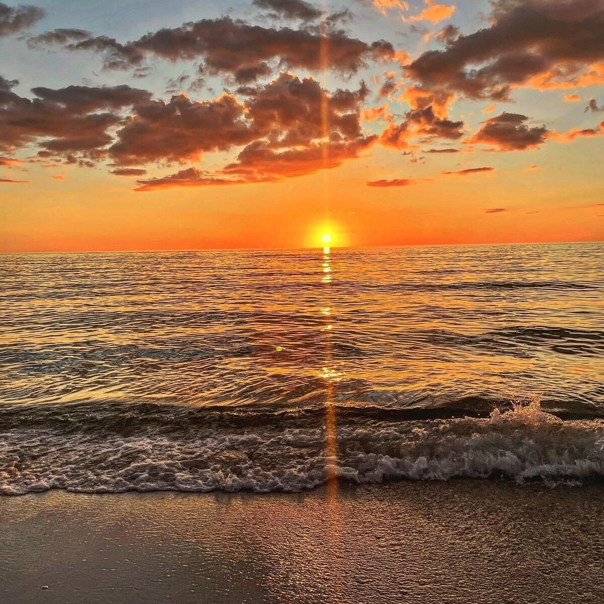 Imagen de perfil del propietario o de la propietaria