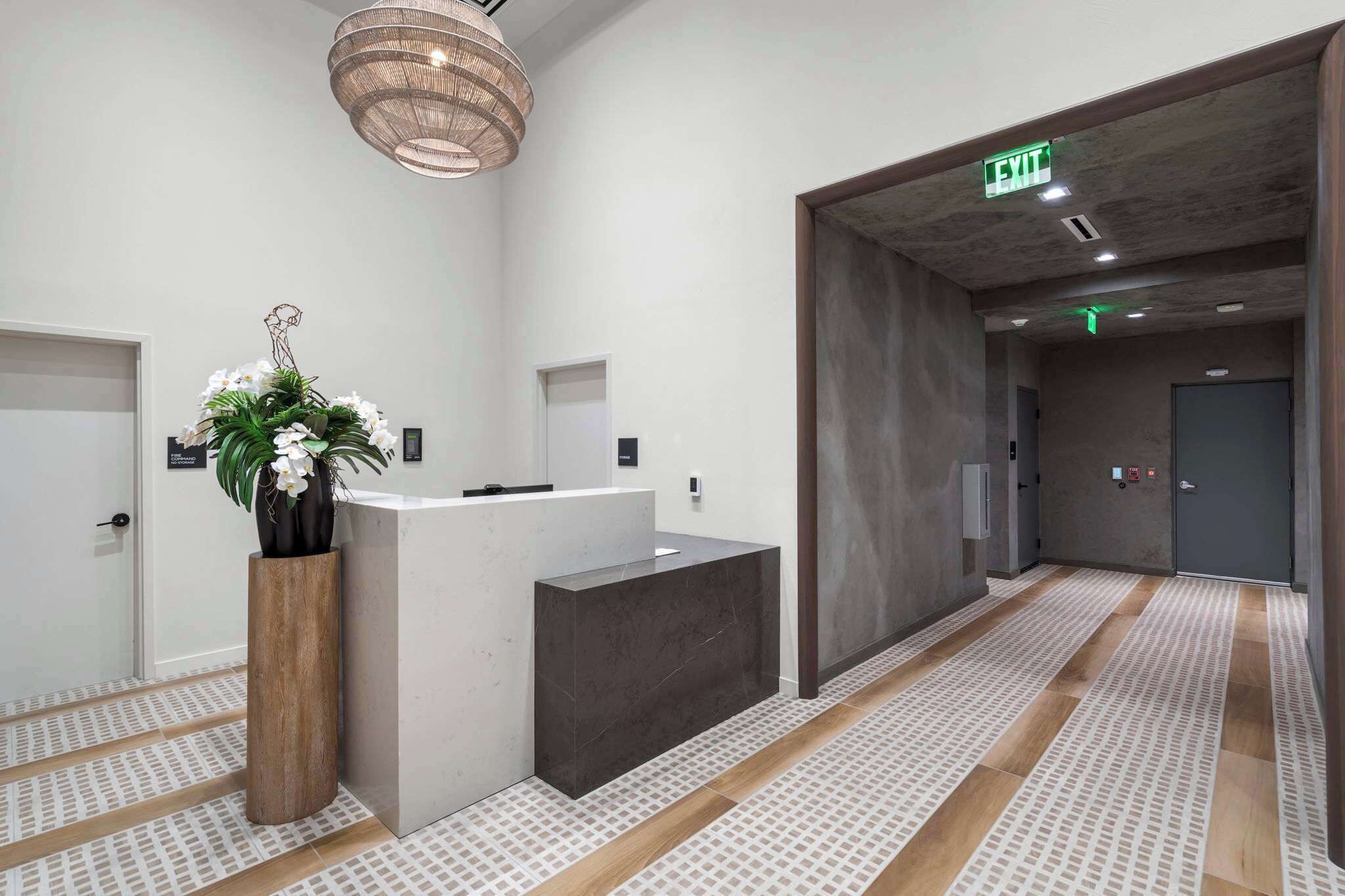 A reception area with a reception desk, a potted plant, and a patterned floor.