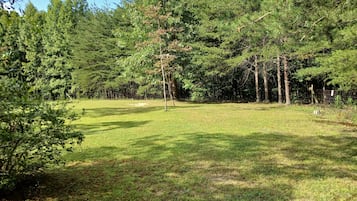 A grassy field with trees and a fence.