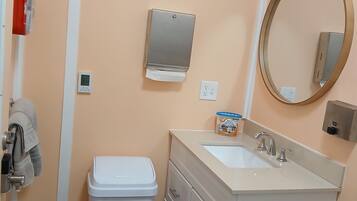 Shower, hair dryer, soap, shampoo