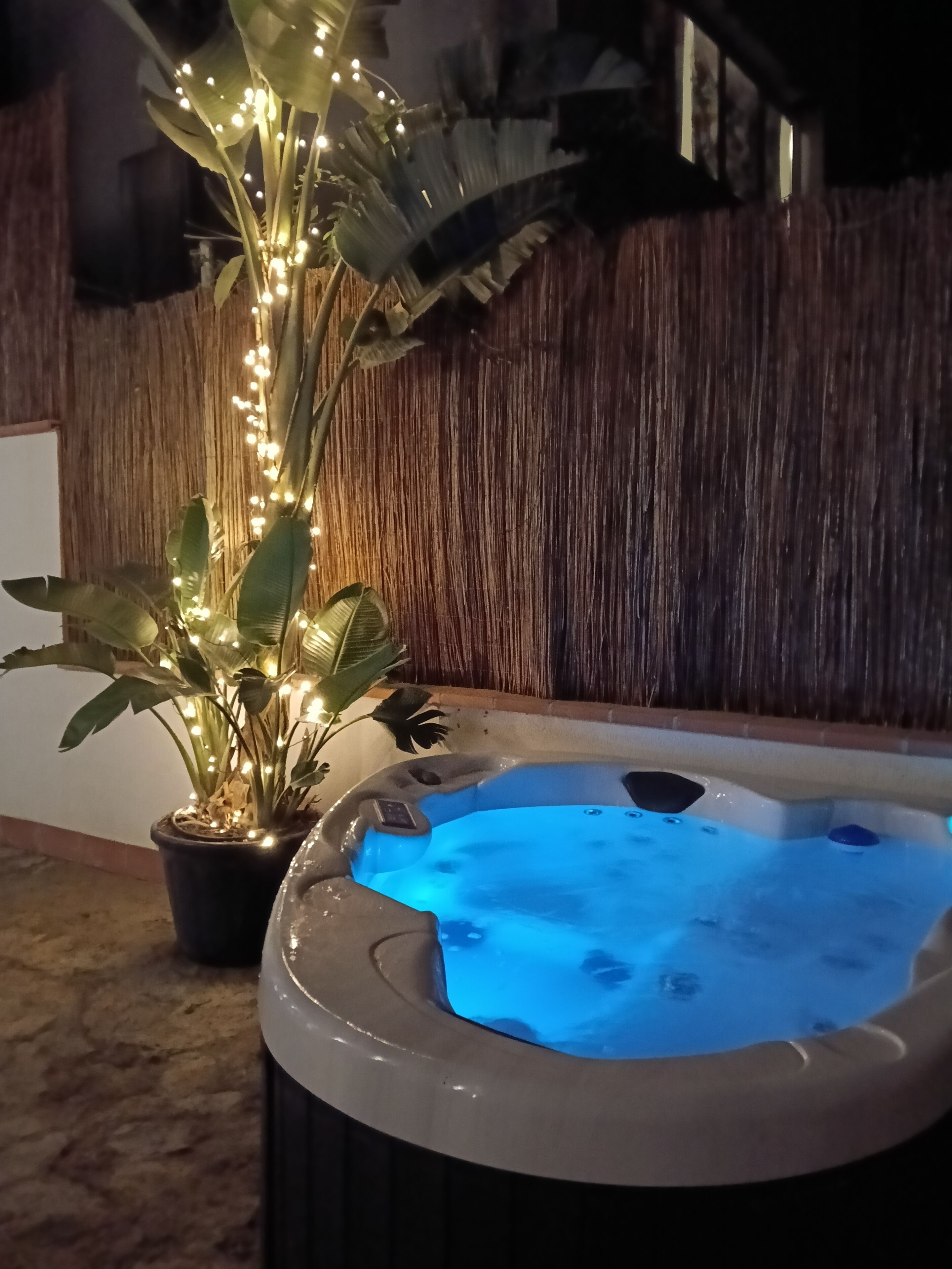 A hot tub with a control panel, surrounded by potted plants with string lights, against a wooden wall.