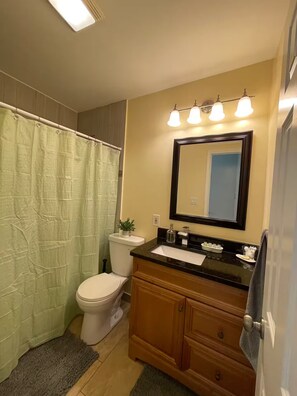 Hair dryer, towels, soap, toilet paper