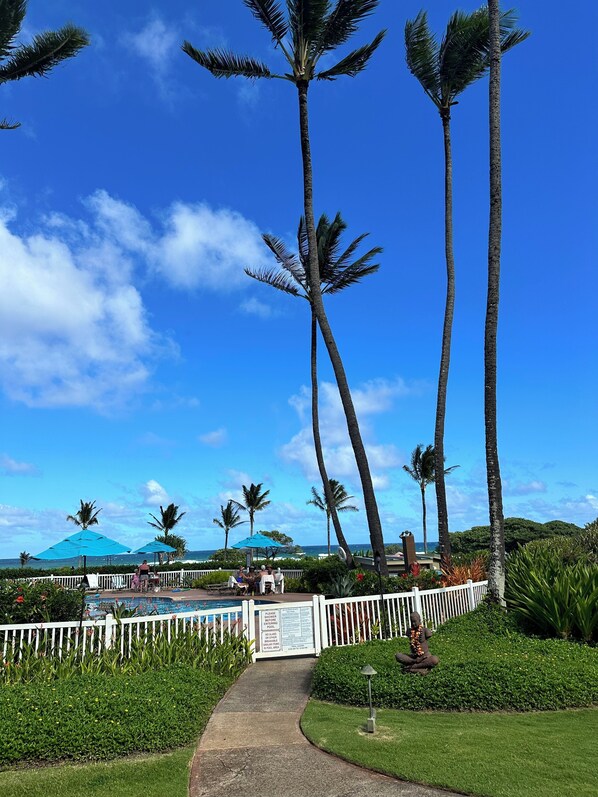 Property grounds - 1-bedroom condo in Lihue perfect for relaxing stays (Lihue)