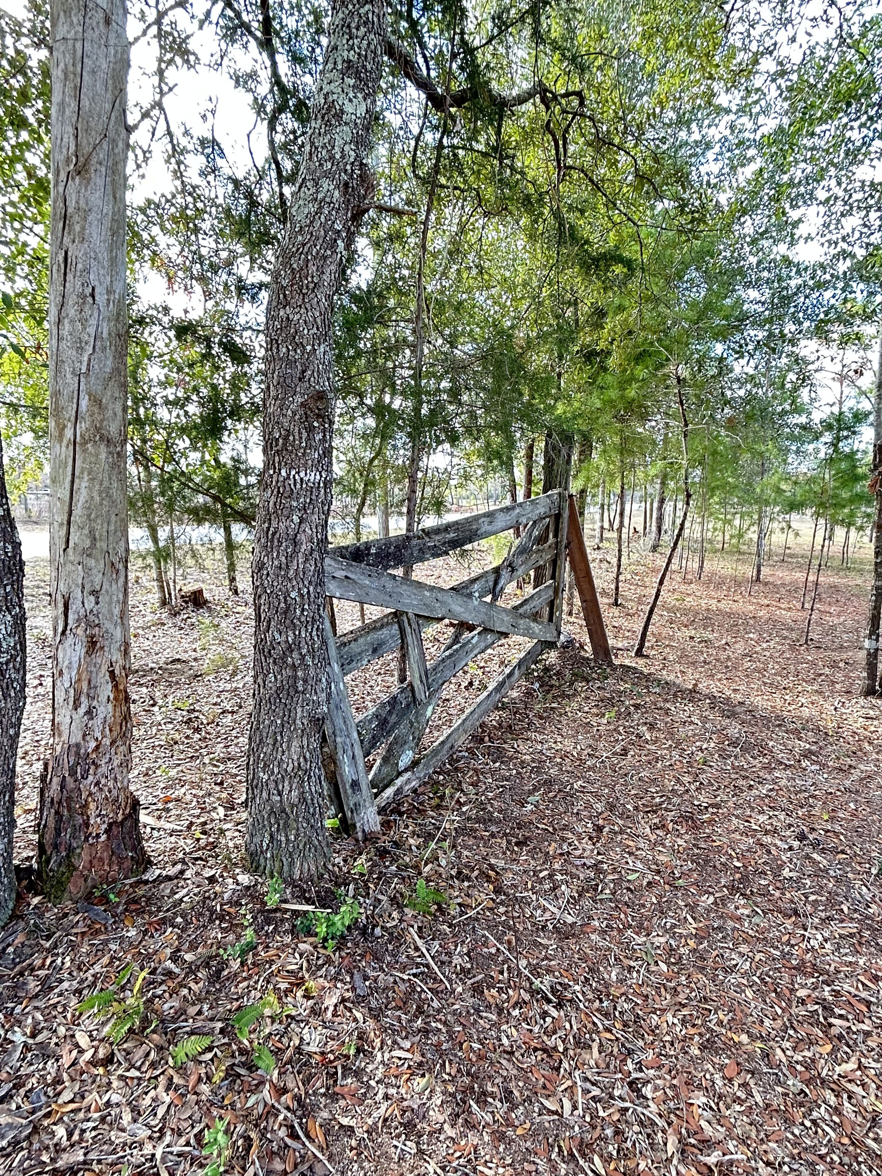 A wooden fence in a wooded area with trees and dry leaves on the ground.