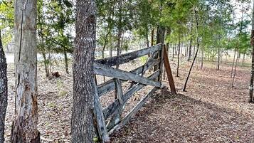 A wooden fence in a wooded area with trees and dry leaves on the ground.