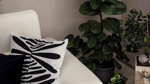A modern living room with a white sofa, black and white patterned pillows, a large potted plant, and decorative mirrors on the wall. - AlexandraDesignSuite (Carpi)