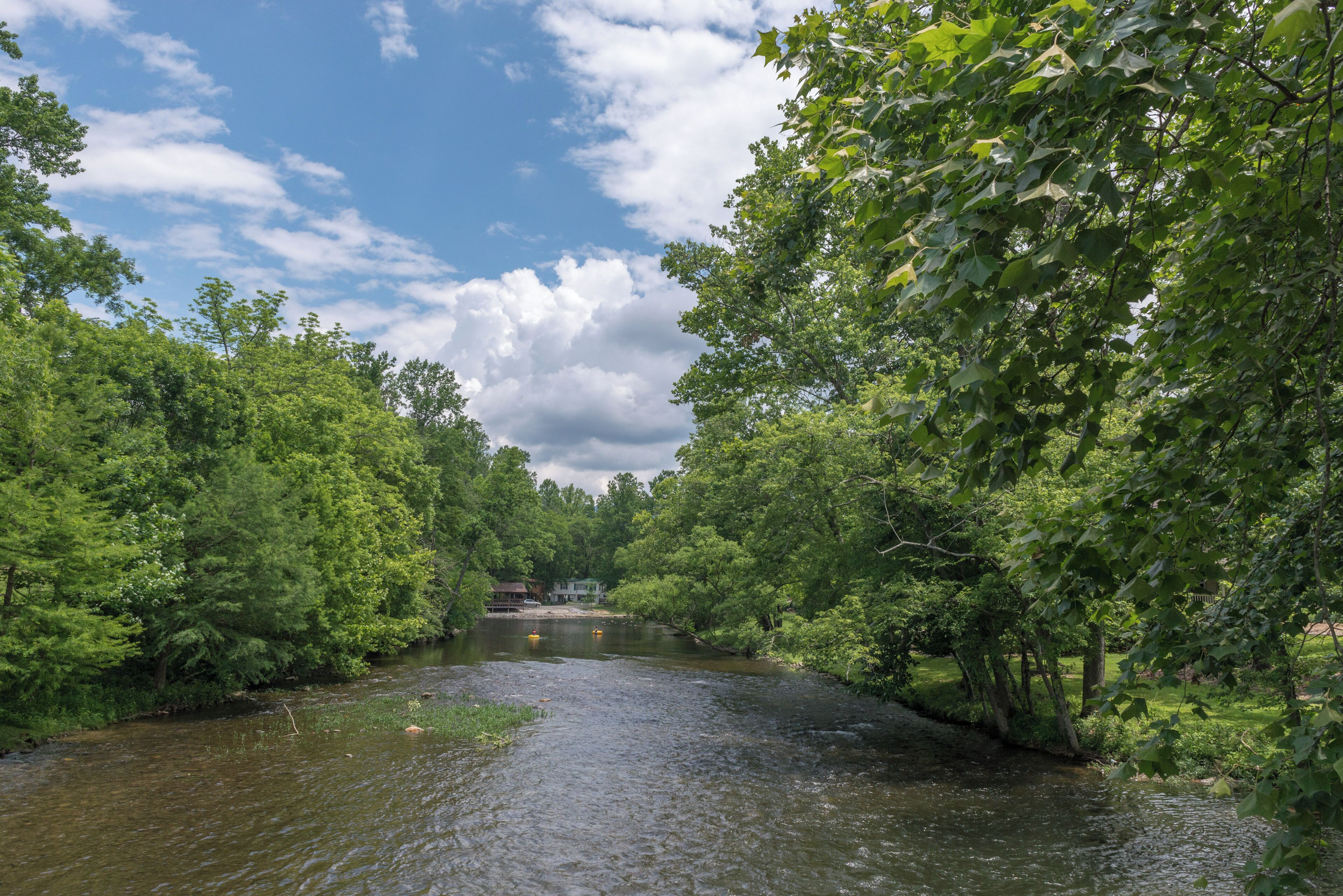 Een rivier omringd door weelderige groene begroeiing onder een gedeeltelijk bewolkte hemel.