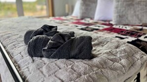 A neatly made bed with a quilted grey duvet, a folded grey blanket, and a pillow on a bed in a room with a window and a view of greenery outside. - Spruce Arch | King Bed; Fireplace; Pets Welcome! (Wolfe County)
