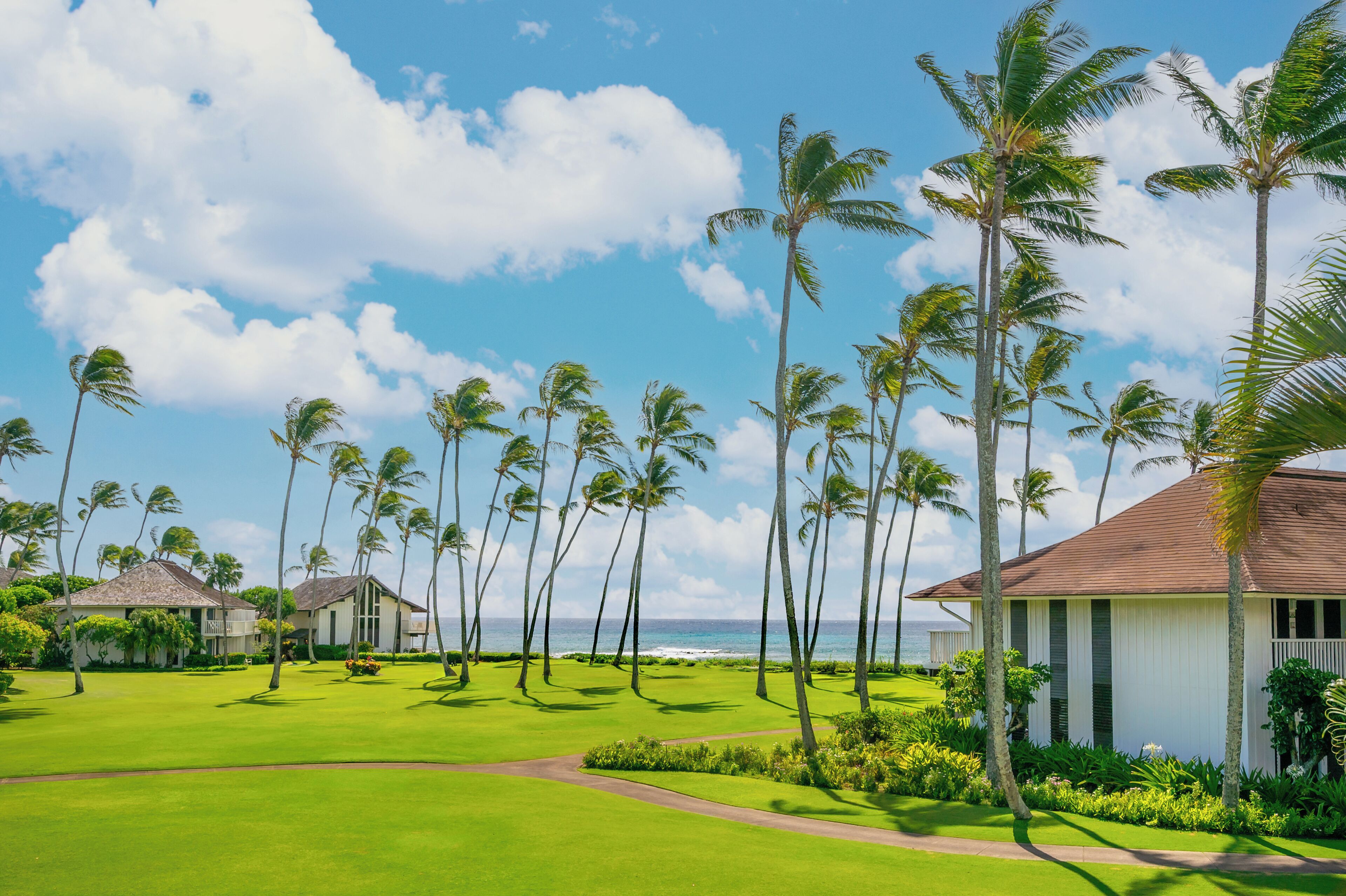 Terrain de l’hébergement 