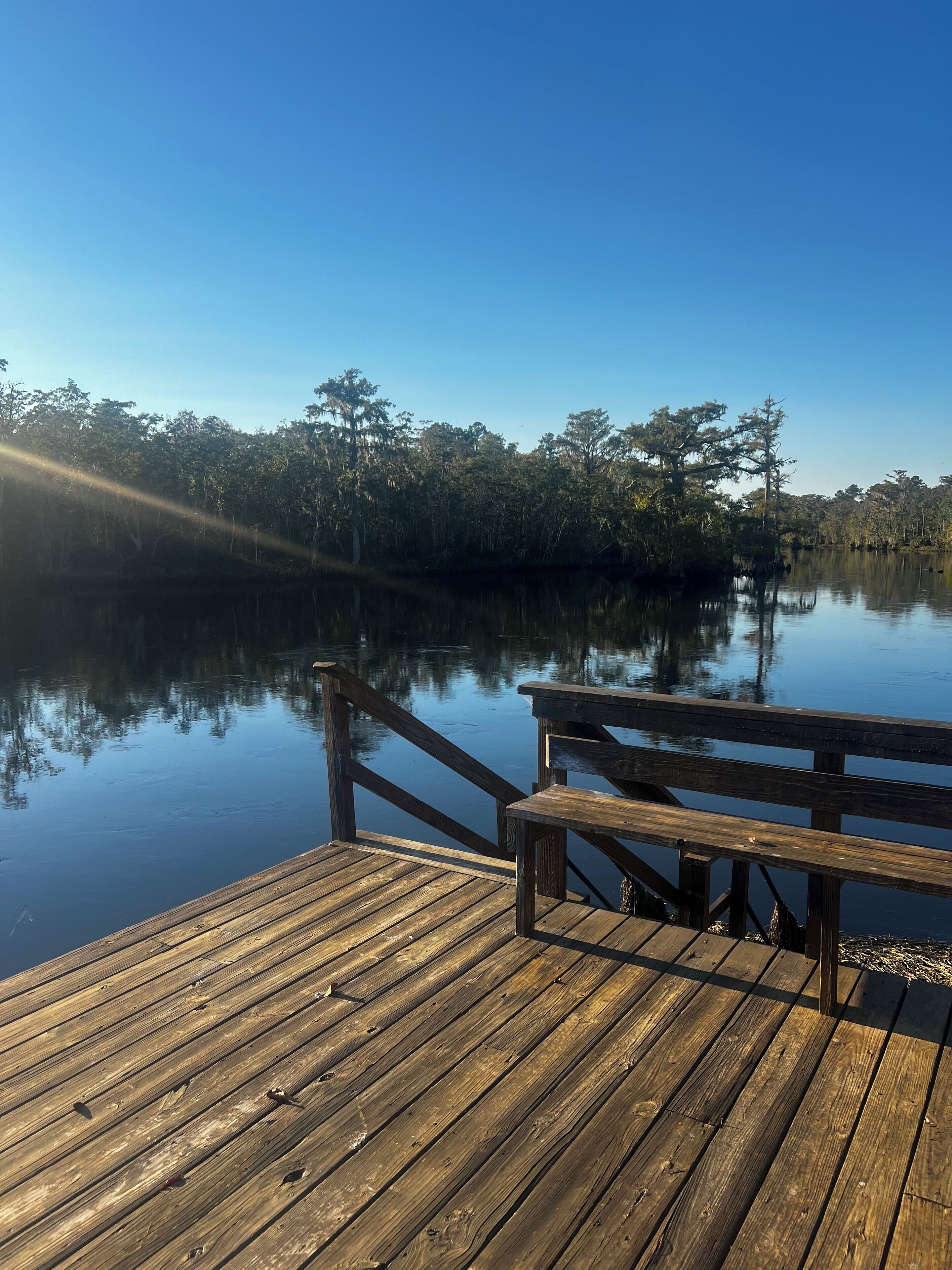 A wooden dock extending over calm water with trees reflecting in the background.