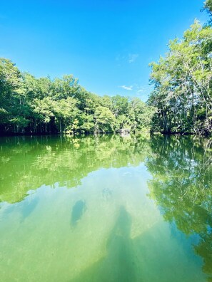 Miscellaneous - Waterfront 3-bedroom house on the Wakulla River w/Dock (Crawfordville)