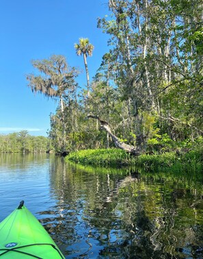 Miscellaneous - Waterfront 3-bedroom house on the Wakulla River w/Dock (Crawfordville)