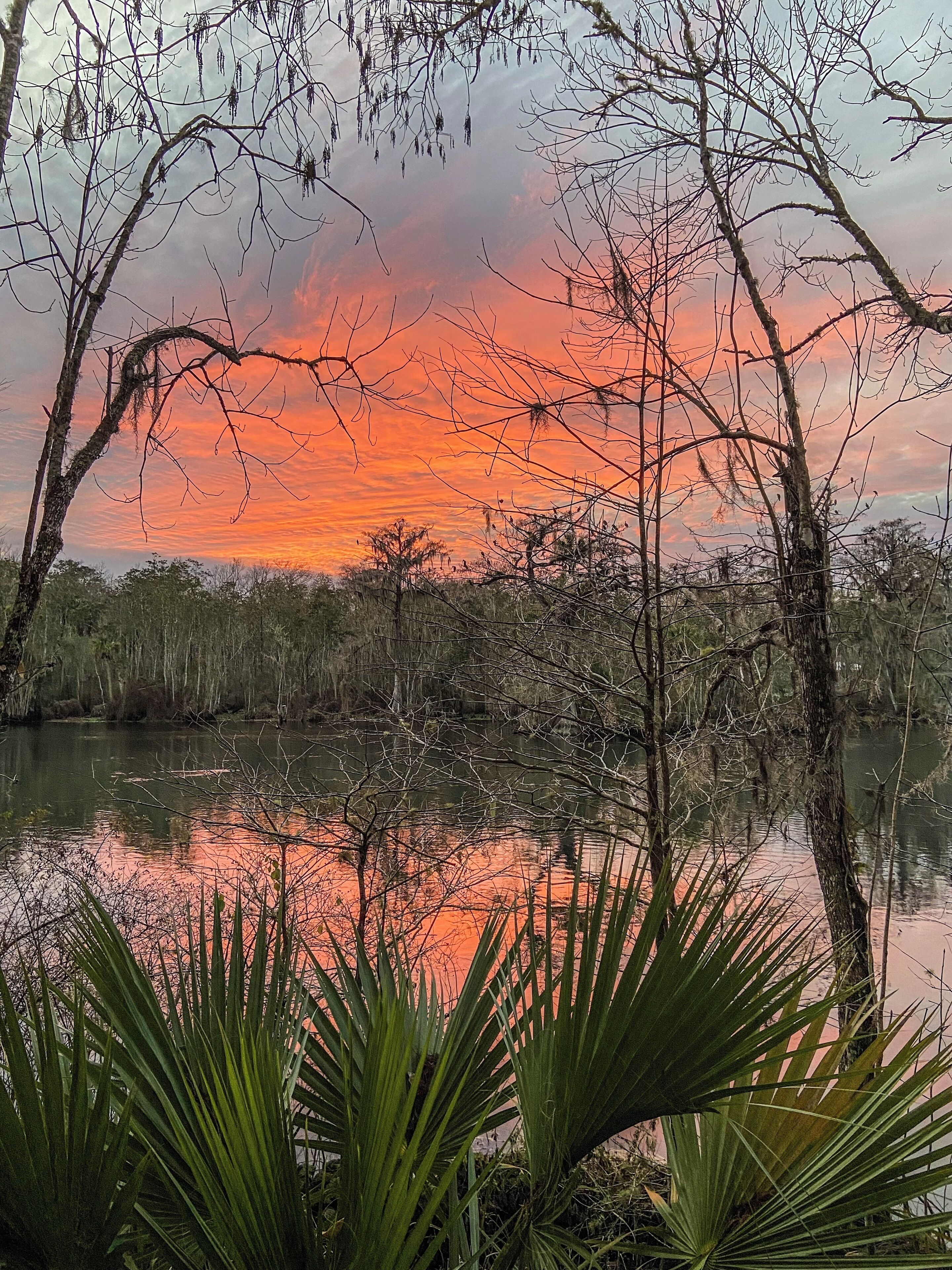 A natural landscape with a sunset over a body of water, surrounded by trees and vegetation.