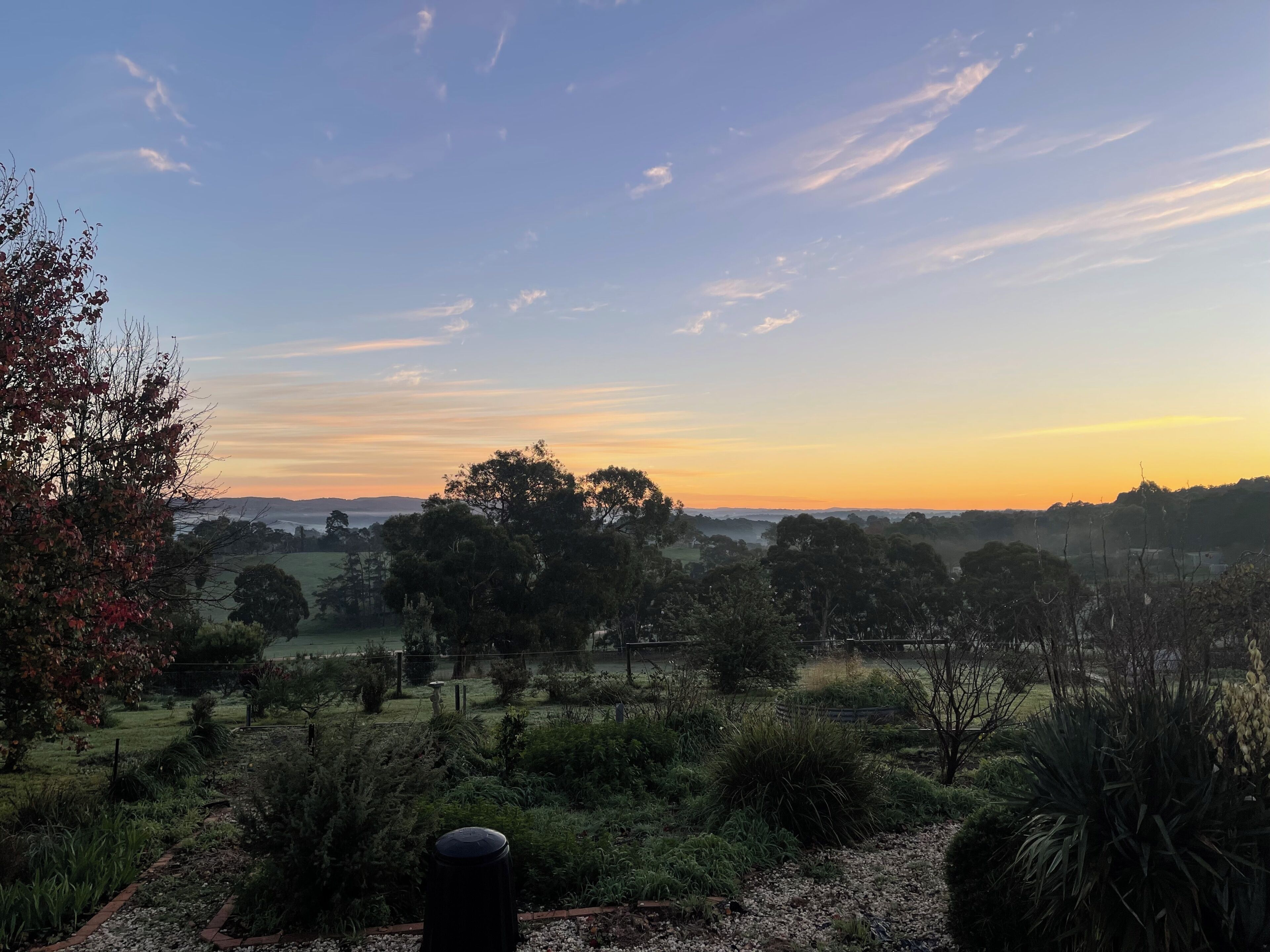A landscape view with trees and a clear sky.