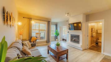 TV, fireplace, offices