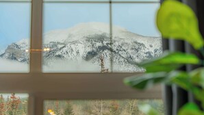 Blick auf einen schneebedeckten Berg durch ein Fenster, mit einem bewaldeten Gebiet im Vordergrund.