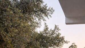 Un balcon avec une balustrade en métal, un pot de fleurs et un feuillage dense en arrière-plan.