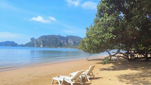 Une plage avec des chaises longues blanches sous un arbre, un rivage sablonneux et une vue sur des montagnes lointaines.