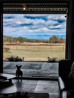 Interior - Q2 on Crestview Farm Stay (Budgee Budgee)