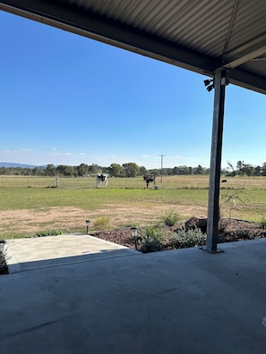 Property grounds - Q2 on Crestview Farm Stay (Budgee Budgee)