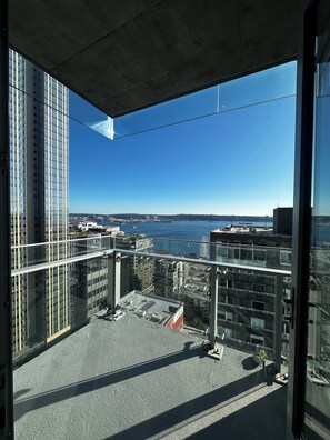 Property grounds - 2-bedroom apartment in delightful Seattle with cool AC breeze (Seattle)