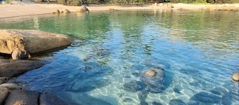 Pet Friendly, Sleeps 8, Bowen Holiday House