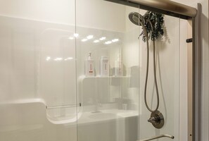Shower, hair dryer, bidet, towels
