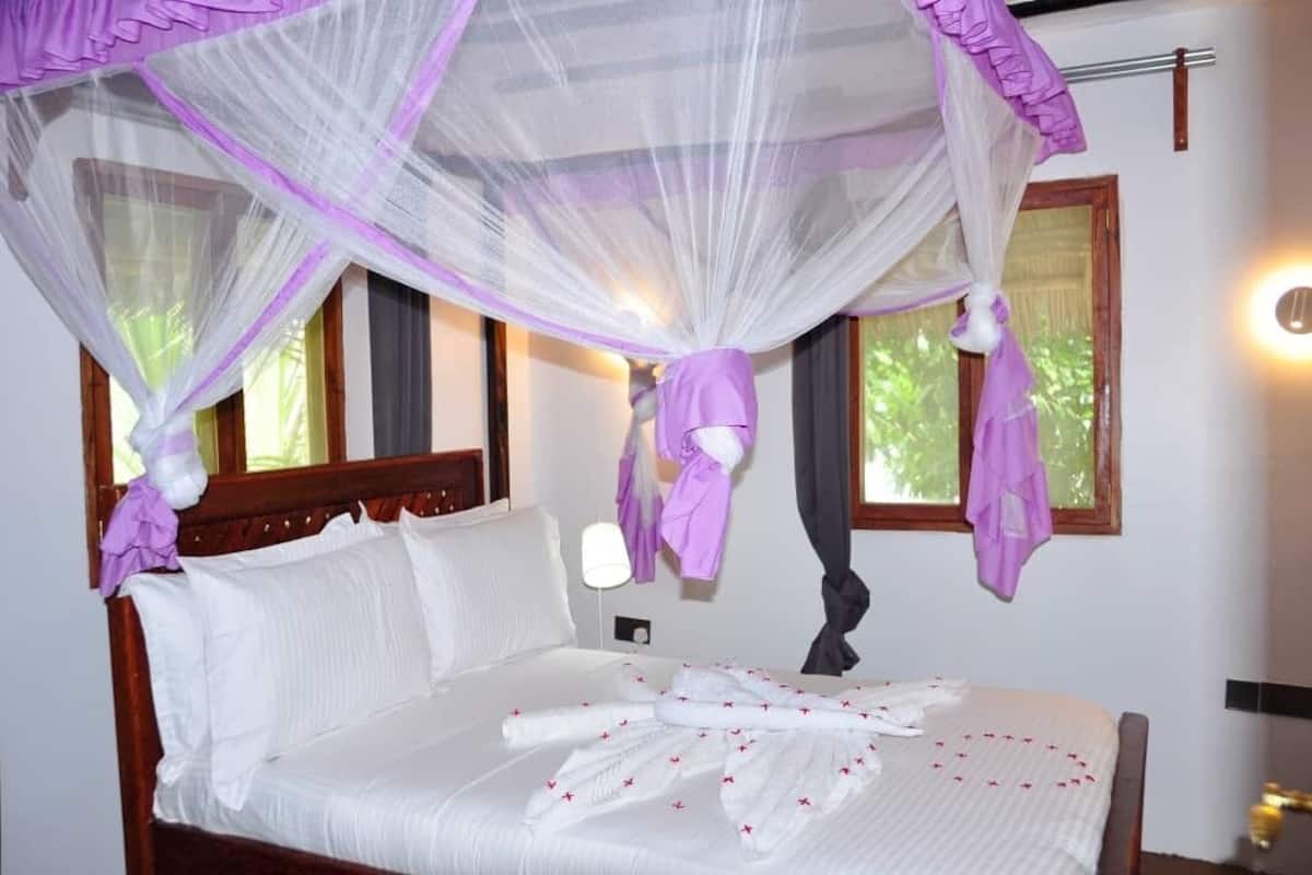 Comfort Single Room, Ocean View | Desk, free WiFi