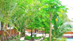 A lush garden with a pathway leading to a wooden deck. - Jodari bungalow kizimkazi Zanzibar (Kizimkazi)