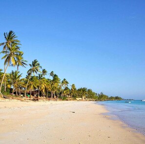 A beach with palm trees and a clear blue sky. - Jodari bungalow kizimkazi Zanzibar (Kizimkazi)