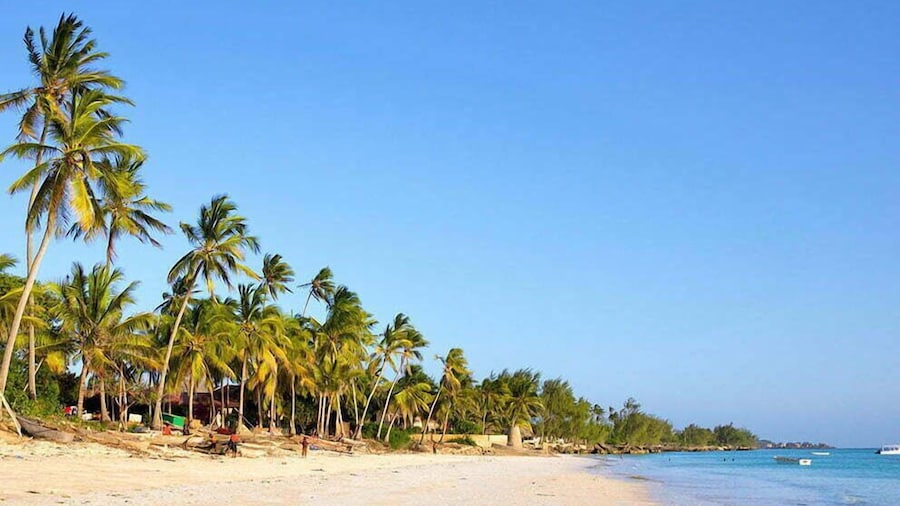 Jodari bungalow kizimkazi Zanzibar