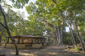 Yksityiskohta sisätiloista