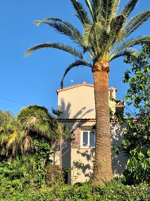 Exterior - Superb Villa Antibes Juan Cannes Heated Pool (Antibes)