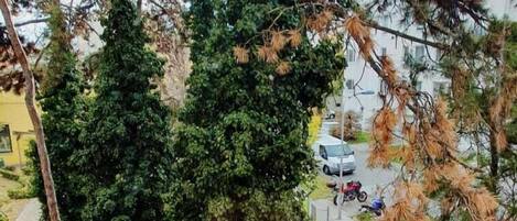 A tree-lined pathway with a paved walkway and a motorbike parked nearby.