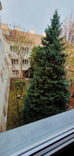 Vue depuis l’hébergement