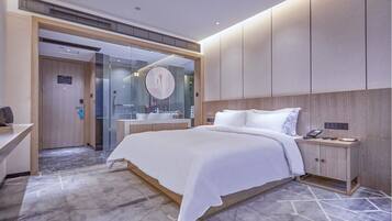 Business Double Room, 1 Queen Bed, City View | Blackout drapes, iron/ironing board, free WiFi