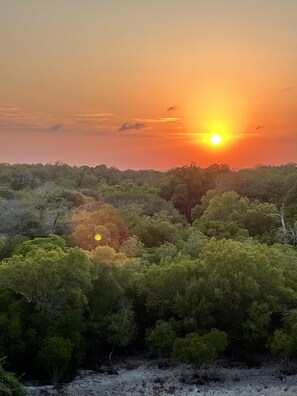 Miscellaneous - Stylish Studio with stunning views over the Mangroves in Watamu (Watamu)